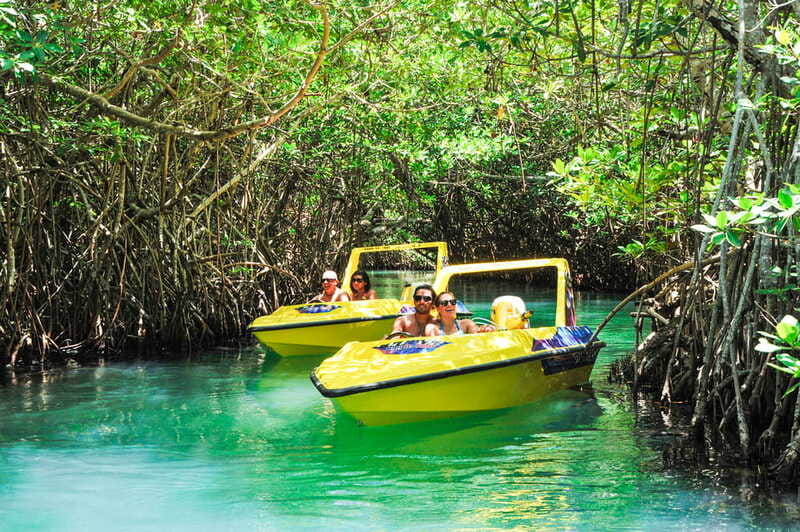 Cancun: Speedboat Mangrove Jungle & Snorkel Tour - The Experience from the Guide to the Environment
