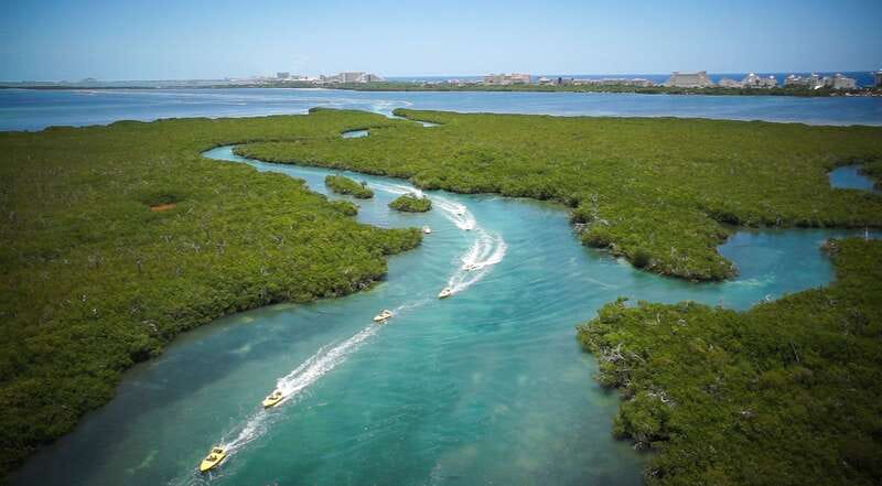Cancun: Speedboat Mangrove Jungle & Snorkel Tour - Practical Tips for a Smooth Tour