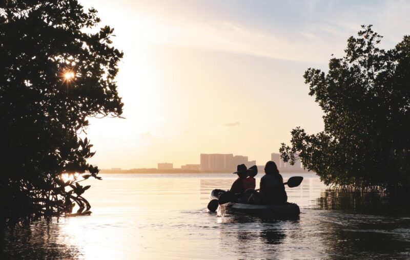 Cancun: Sunset Kayak Experience in the Mangroves - The Benefits of a Small Group Experience