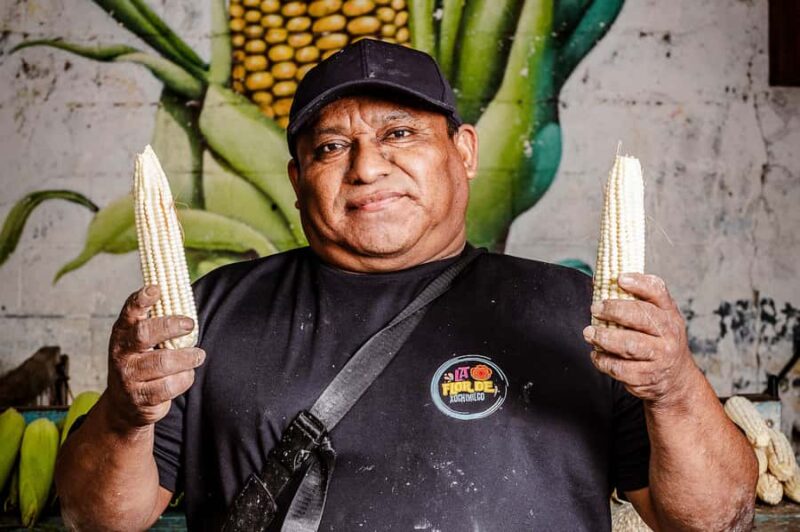 Cancún: Tortilla Trails Food Tour with 15+ Tastings - Key Points