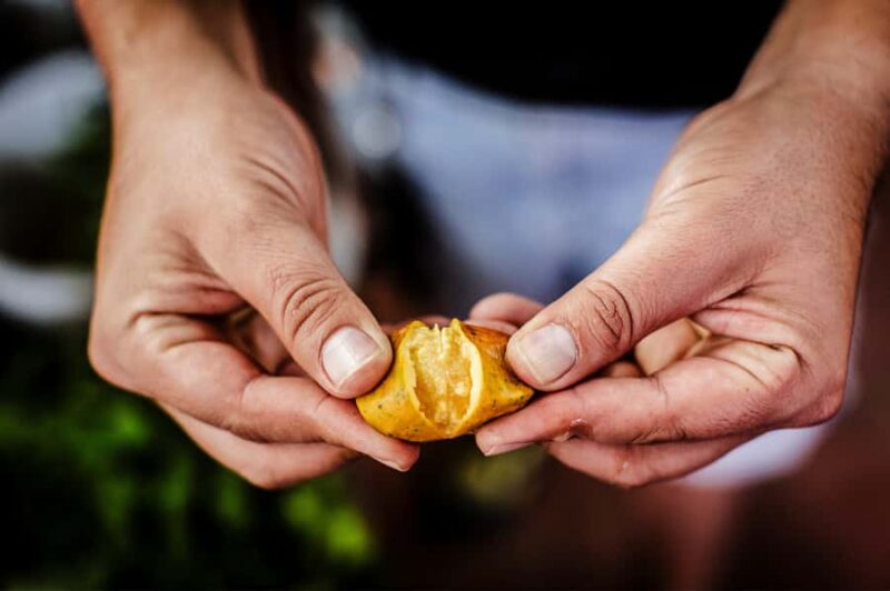 Cancún: Tortilla Trails Food Tour with 15+ Tastings - Practical Details: Timing, Pacing, and What to Bring