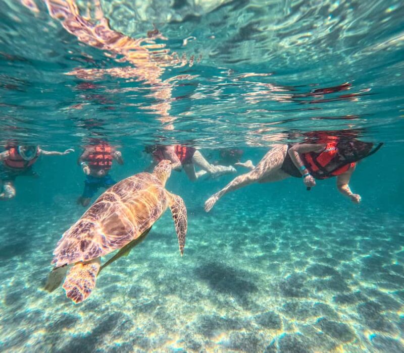 Cancun: Tulum Ruins, Akumal Turtles, Cenote & Caves Tour - The Expertise of the Guides and Tour Quality
