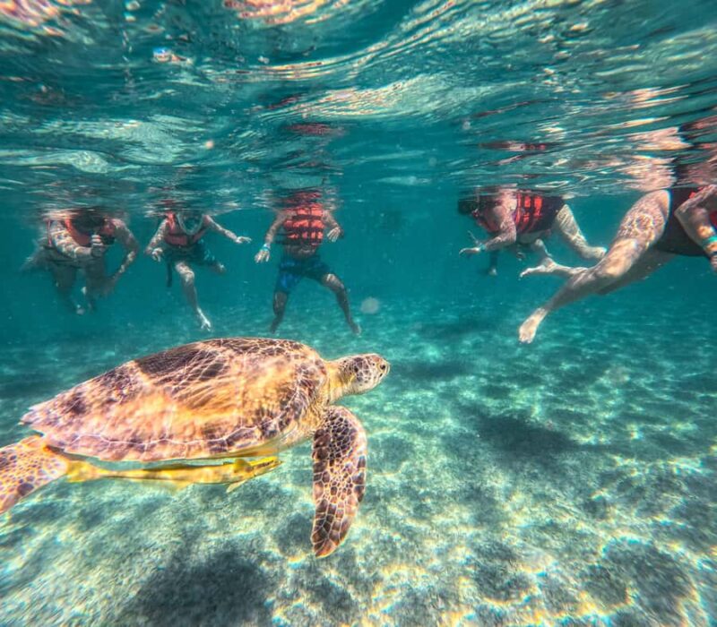 Cancun: Tulum Ruins, Akumal Turtles, Cenote & Caves Tour - Accessibility and Physical Considerations