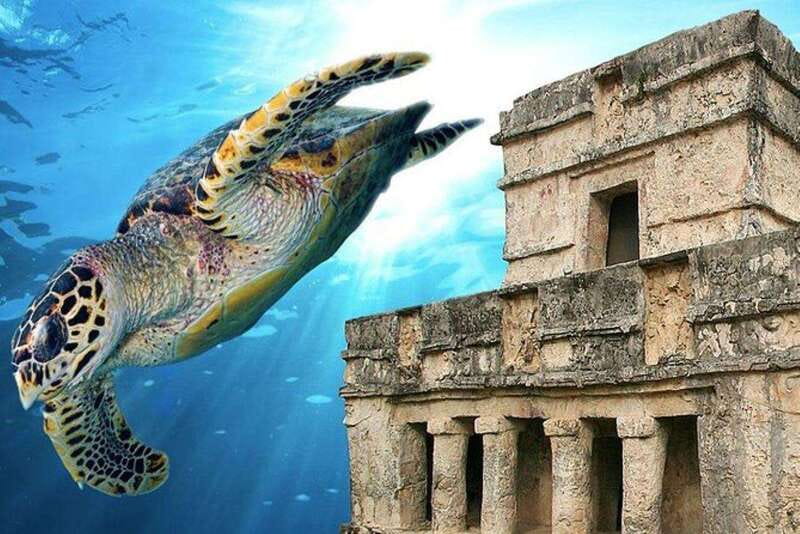 Cancun: Tulum Ruins & Snorkeling with Sea Turtles Tour - Delicious Mexican Lunch at a Local Akumal Restaurant