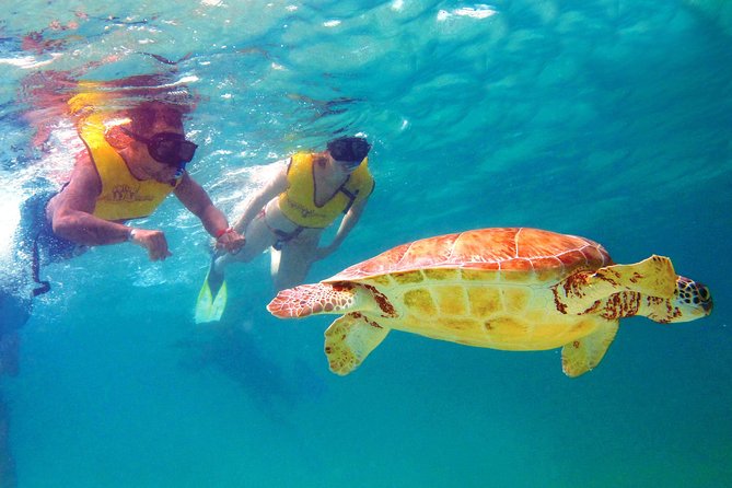 Cancun Ultimate Adventure: ATV's, Snorkeling & Zip Lines - Key Points