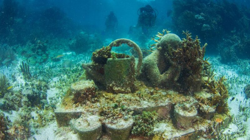 Cancún: Underwater Museum & Reef for Certified Scuba Divers - Limitations and Considerations