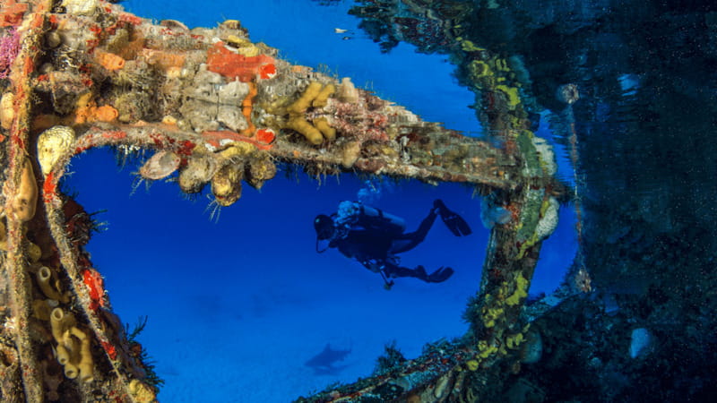 Cancún: Wreck and Reef for Certified Scuba Divers - Starting Point at Aquaworld in Cancun Hotel Zone