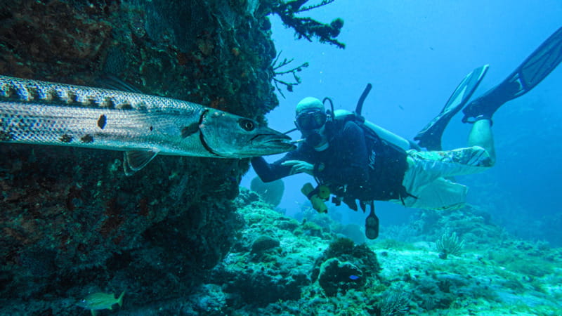 Cancún: Wreck and Reef for Certified Scuba Divers - Snorkeling and Marine Life at the Coral Reef