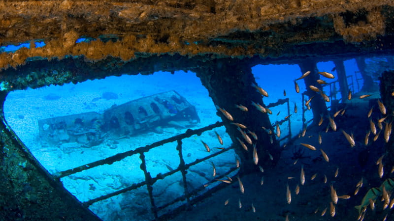 Cancún: Wreck and Reef for Certified Scuba Divers - About the Guides and Languages Offered