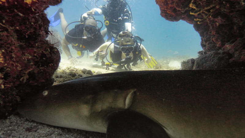 Cancún: Wreck and Reef for Certified Scuba Divers - Limitations and Considerations