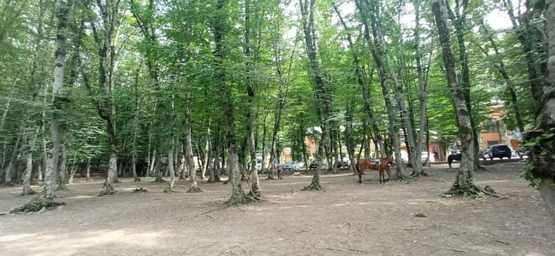 Candy Mountains - Guba - Khinaliq Guided Full Day Tour - Discover the Candy Mountains in Khizi