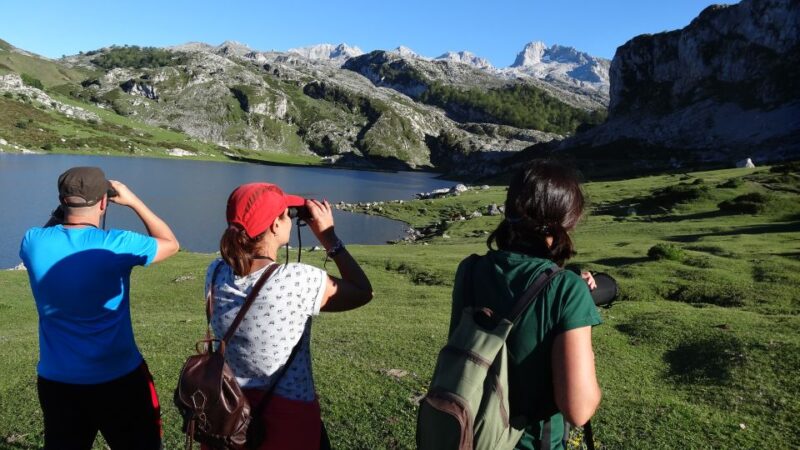 Cangas de Onís: Lakes of Covadonga Guided Tour - Explore Asturias Covadonga Lakes with a Guided Tour for $34