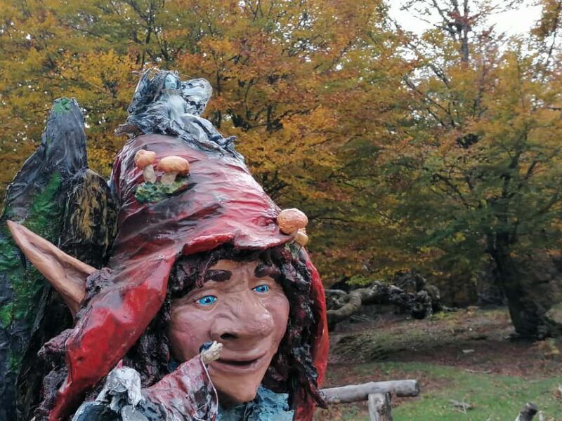 Cangas de Onís: Route in the Vegabaño Forest with lunch at a mountain refuge - Key Points