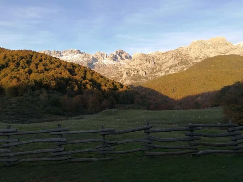Cangas de Onís: Route in the Vegabaño Forest with lunch at a mountain refuge - Relaxed Hiking Along the Peña Santa Footprints