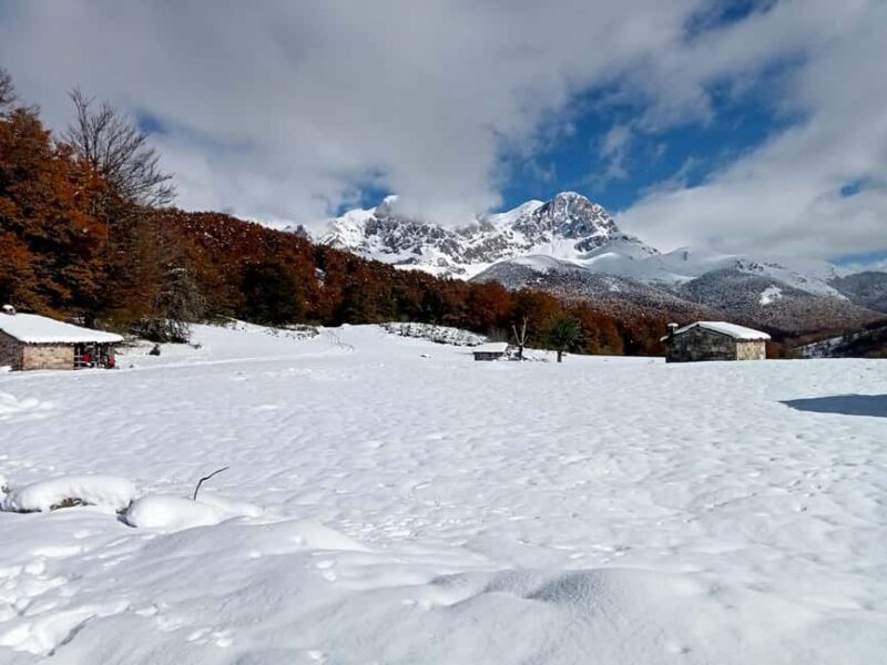 Cangas de Onís: Route in the Vegabaño Forest with lunch at a mountain refuge - Comparing This Tour to Other Picos de Europa Adventures