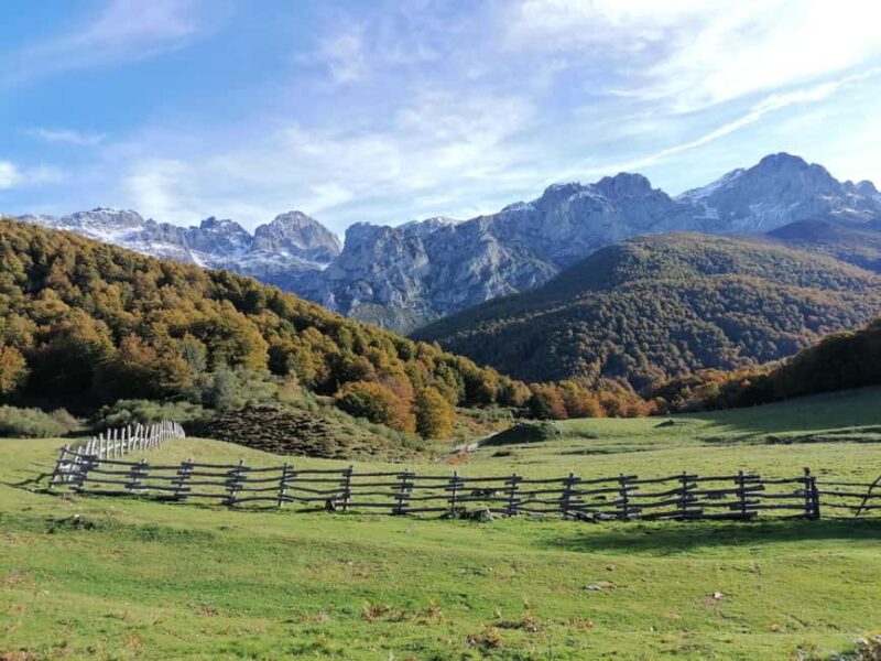 Cangas de Onís: Route in the Vegabaño Forest with lunch at a mountain refuge - Who Will Most Appreciate This Experience