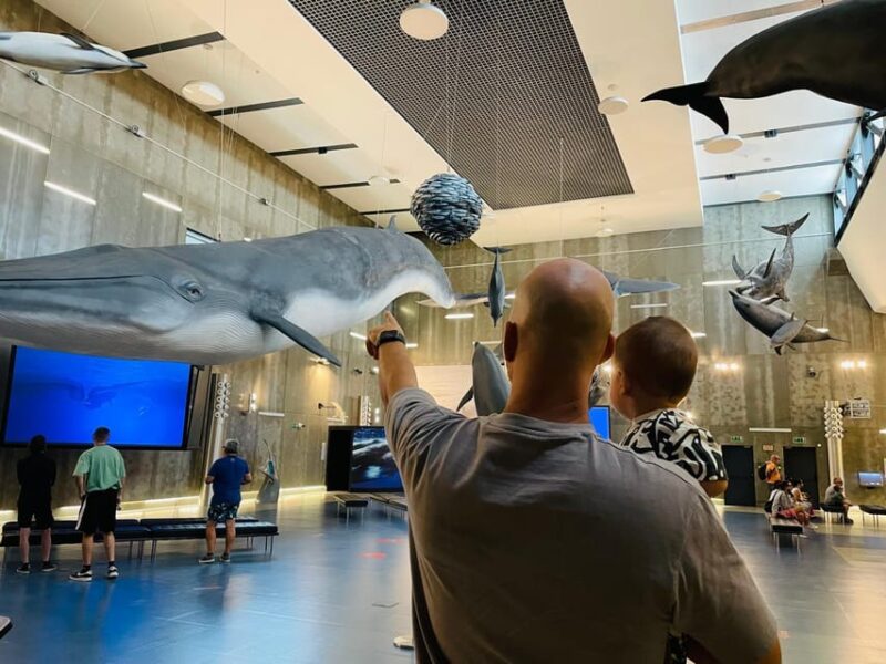 Caniçal : Madeira Whale Museum Entry ticket - The Unique Setting of Caniçal and Its Marine Heritage