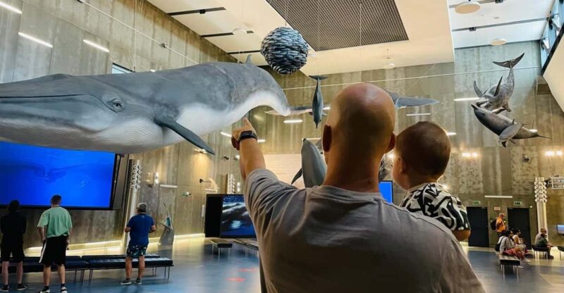 Caniçal : Madeira Whale Museum Entry ticket - Summary: Is the Madeira Whale Museum Right for You?