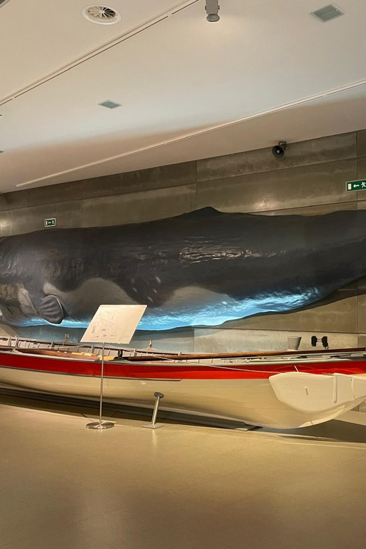 Caniçal : Madeira Whale Museum Entry ticket - Frequently Asked Questions