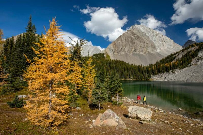 Canmore: 3 Hour Local Explorer Tour and Hike with a Guide - Trail Details and Scenic Stops Along the Route