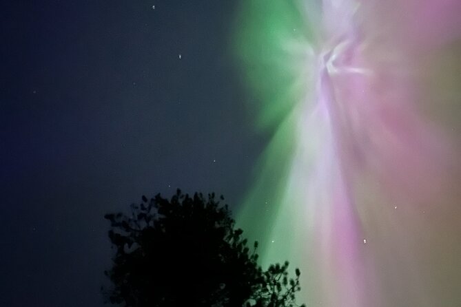 Canmore: ALL Inclusive Campfire Experience with Stargazing - Stargazing in Banff National Park: Celestial Wonders and Northern Lights