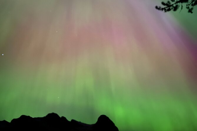 Canmore: ALL Inclusive Campfire Experience with Stargazing - What Sets This Tour Apart: Authentic Outdoor Evening with Educational Twist