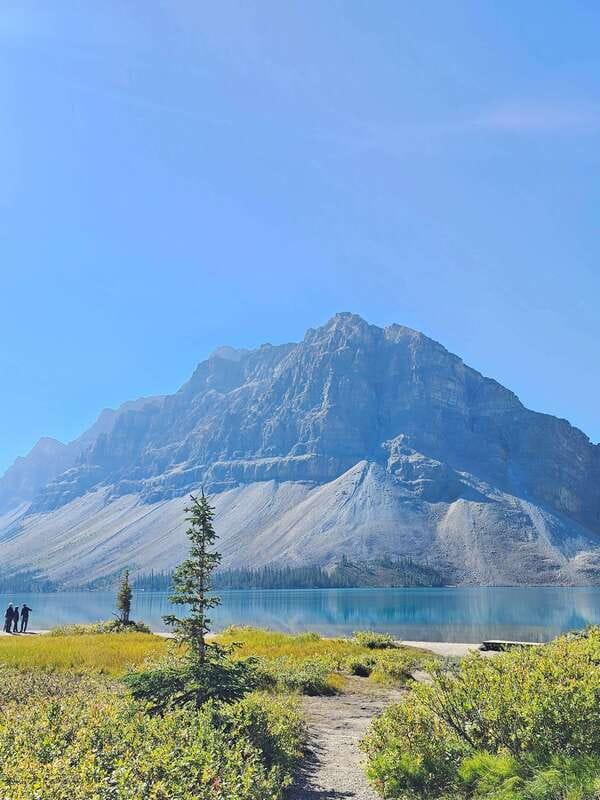 Canmore/Banff: Columbia Icefield, Skywalk, Peyto Day Tour - What Makes This Tour Stand Out