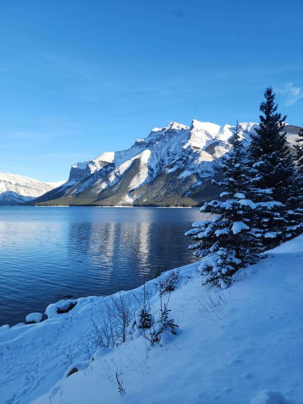 Canmore/Banff: Explore Banff & Wildlife - Exploring Banffs Scenic Vistas and Iconic Landmarks