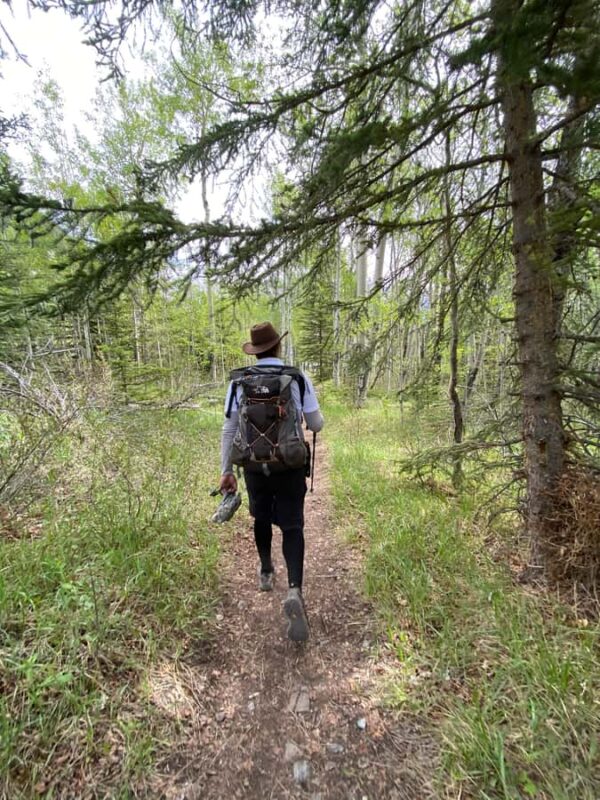 Canmore: Banff National Park Scenic Lakes Tour - Walking and Photography at Scenic Viewpoints