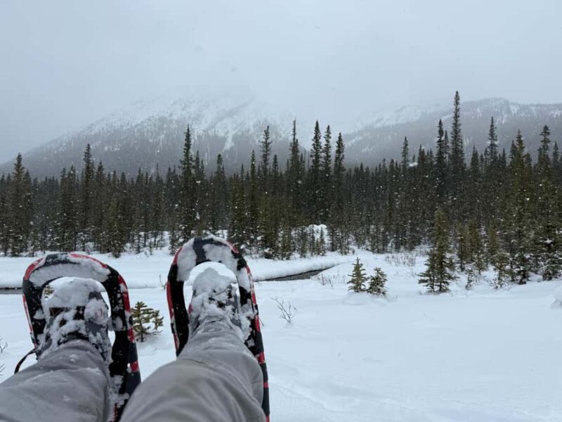 Canmore/Banff Snowshoeing Adventure Including Transportation - What’s Included in the Snowshoeing Experience