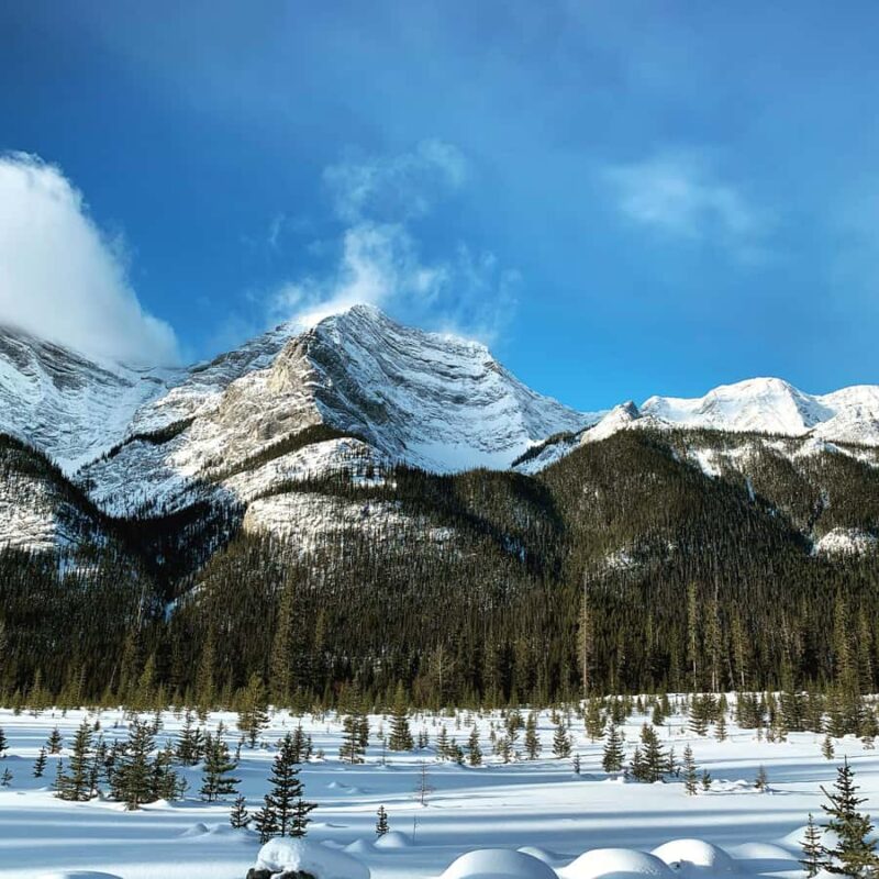 Canmore/Banff Snowshoeing Adventure Including Transportation - Flexibility and Booking Policies