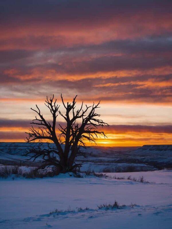 Canmore/Banff: Sunrise Moraine Lakes & Louise Adventure Tour - Physical Requirements and Suitability
