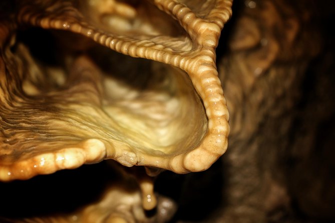 Canmore Caving Adventure Tour - Meeting Point and Transportation Options Near Canmore