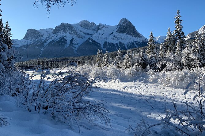 Canmore Explore Winter Wildlife Tracks 2hr Nature Walk - Practical Details and Booking