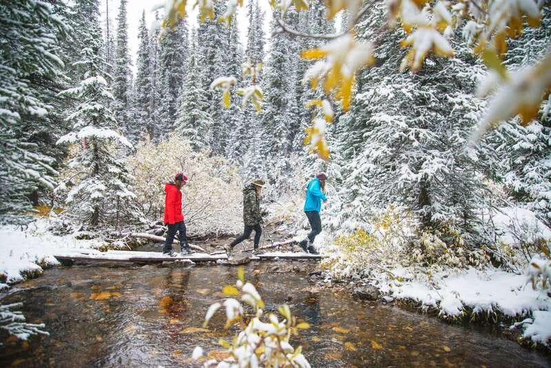Canmore: Explore Winter Wildlife Tracks - 2hr Nature Walk - Discovering Canmore’s Wildlife Hotspots with a Guided Expert