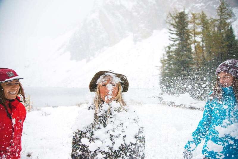 Canmore: Explore Winter Wildlife Tracks - 2hr Nature Walk - The Role of the Professional Guide in Wildlife Observation