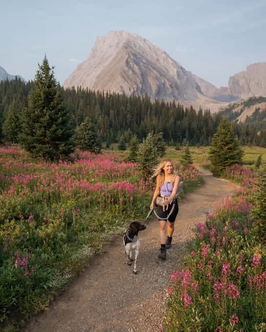 Canmore: Medicinal and Edible Plants, 2-hour Nature Walk - Explore Canmore’s Medicinal and Edible Plants on a 2-Hour Guided Nature Walk