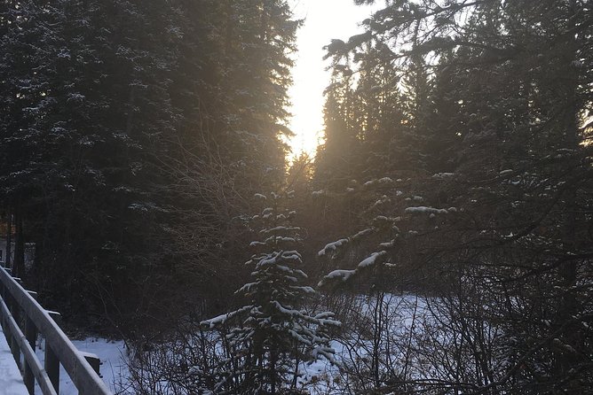 Canmore: Stargazing and Nature by Nightfall Walking Tour - 2hr - Physical Requirements and Accessibility