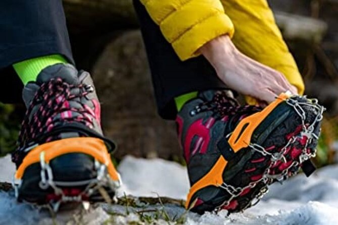 Canmore: Wilderness & Wildlife Tour - 2hr Walk - Why Choose the Canmore Wilderness & Wildlife Tour?