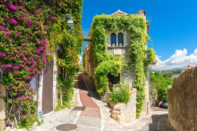 Cannes & Antibes private guided tour - Who Will Appreciate This Tour Most