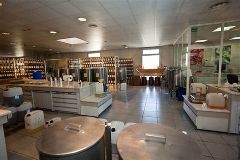 Cannes: French Riviera Private Sightseeing Shore Excursion - Starting Point: Convenient Pickup from Cannes Cruise Terminal