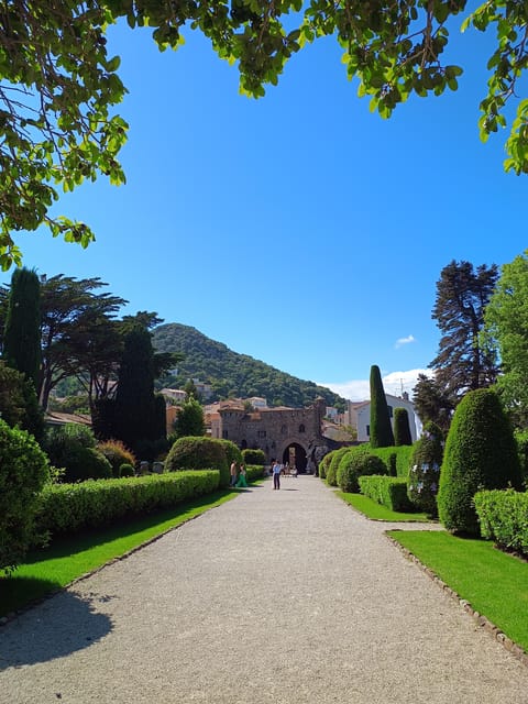 Cannes : Highlights guided Tour of the French Riviera - Discovering Antibes and Its Artistic Heritage