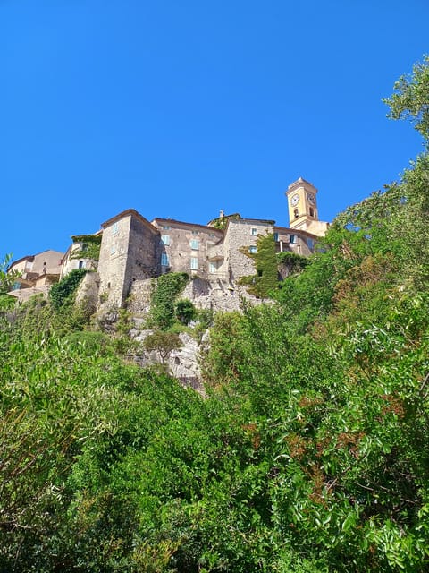 Cannes : Highlights guided Tour of the French Riviera - Experiencing Monaco’s Royal and Oceanic Wonders