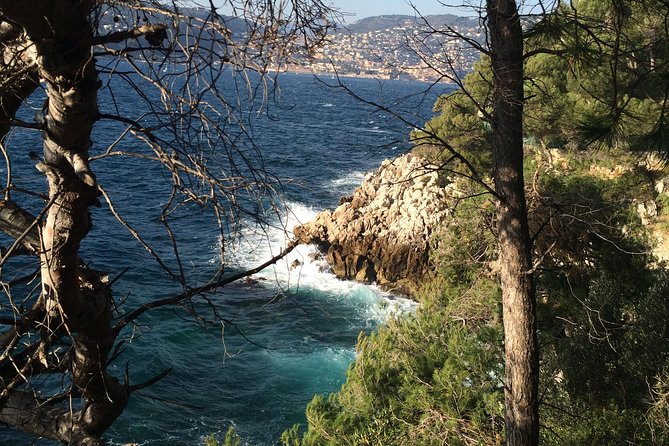 Cannes Large Group Shore Excursion with a Minibus 15 seater - Highlights of Stops: Nice, Eze, and Monaco