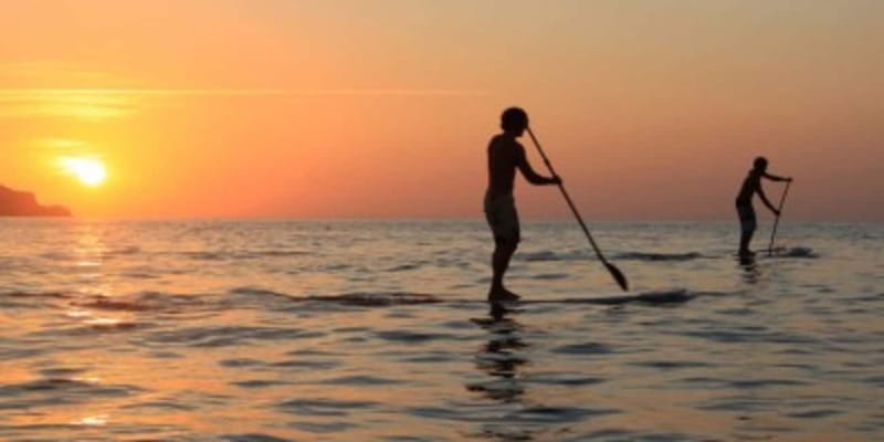 Cannes: Lérins Islands Private Boat Tour - Exploring Saint-Honorat Island