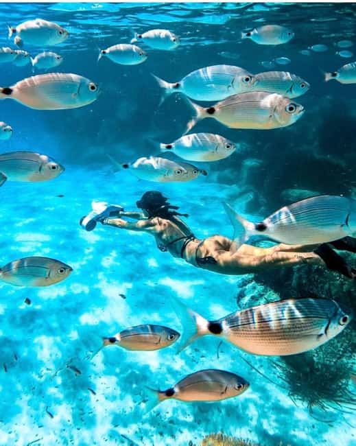 Cannes, Lérins Islands: Visit the eco-museum with a water jet propulsion system - Key Points