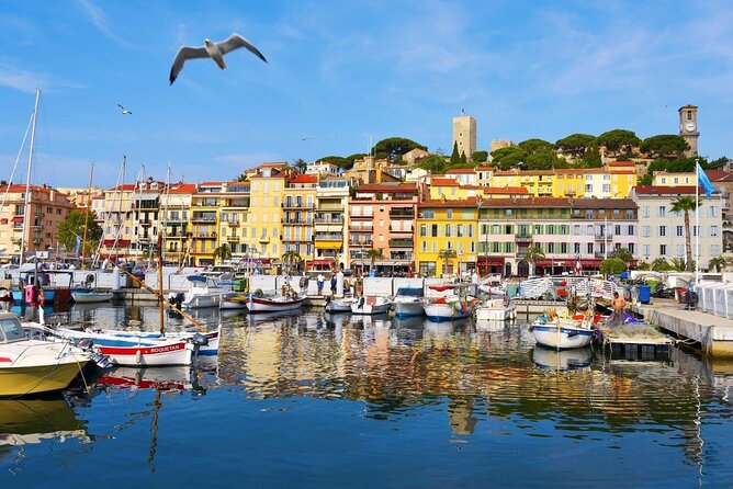 Cannes Private Tour: Film Festival, Secrets & Stunning views - Flexibility and Customization of the Ending Point