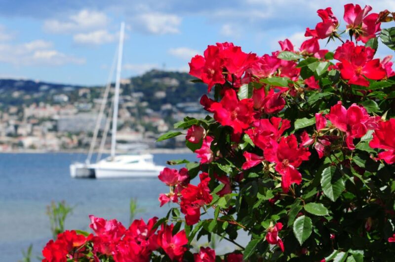 Cannes: Private Trip to Grasse, Antibes, & St. Paul de Vence - Fragonard Perfume Factory Guided Visit