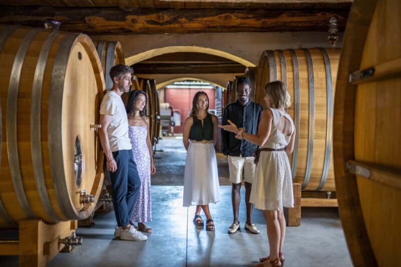 Cannes: Provence Wine Tour - Private Tour from Cannes - Visiting a Stunning Organic Vineyard with Gardens and Award-Winning Wines