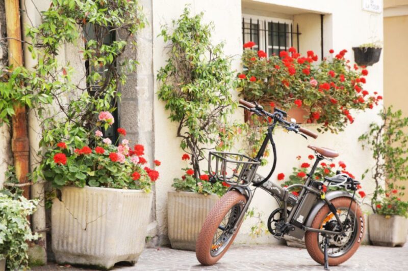 Cannes: rent an E-bike to visit the city - Timing, Pacing, and Route Flexibility